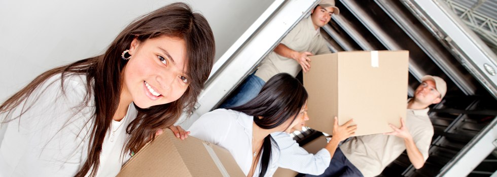 Professional Removalists Winwill